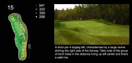 golf hole 15