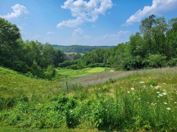 green golf course view summer