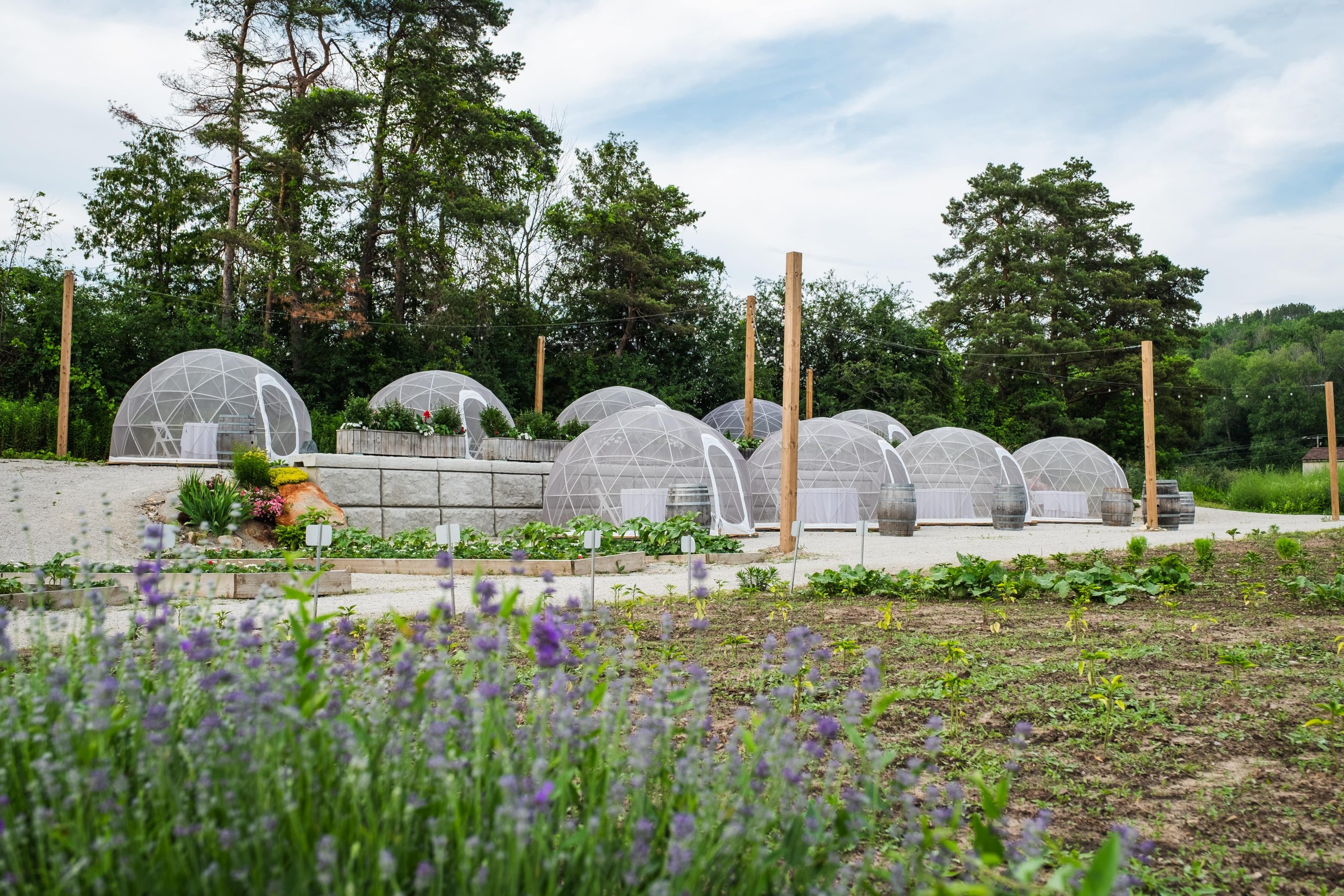 Hockley Valley Resort Home Hockley