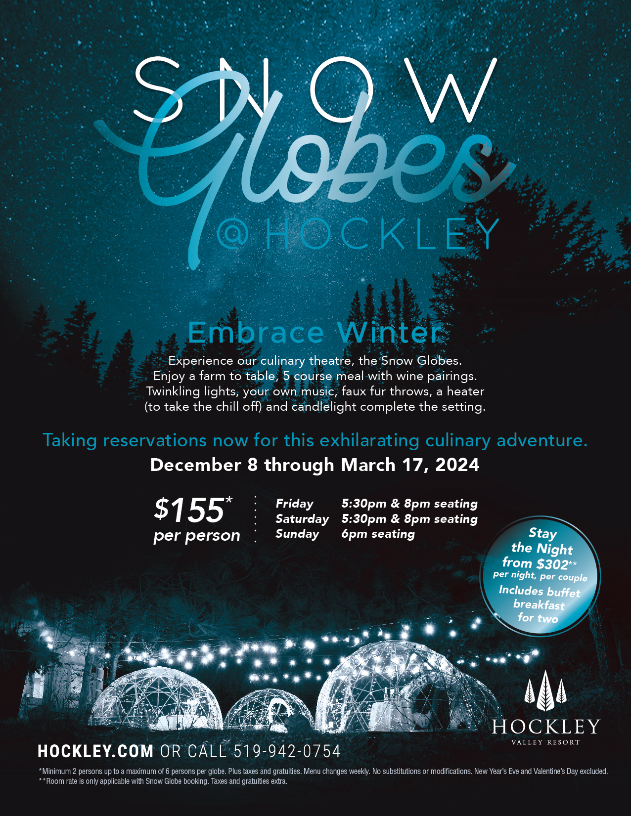 Snow globes flyer promo