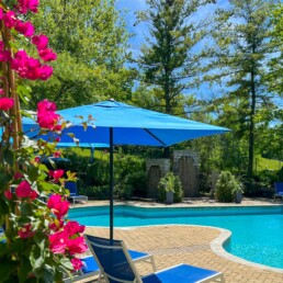 Outdoor pool with umbrella and pink flowers